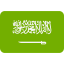 Saudi Goods
