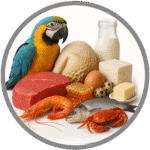 HS Code 01 in the Harmonized System, developed by the World Customs Organization (WCO), pertains to the category of live animals